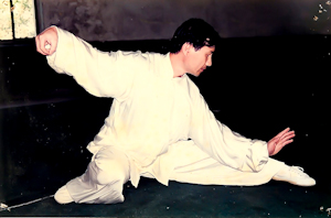 hoyerwushu